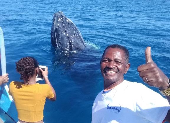 La baleine
