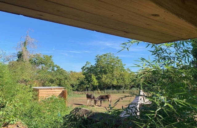 La Cabane Bambou
