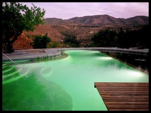 La calma entre naranjos