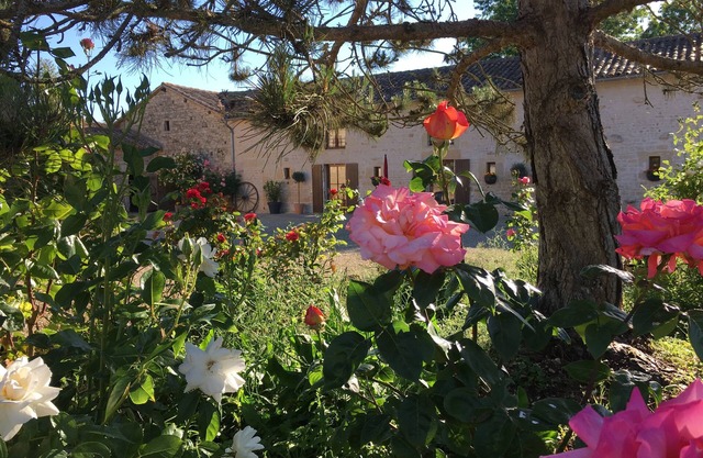 La Chouette: pretty gite with pool and extensive gardens