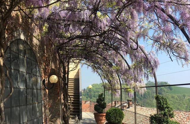 La Corte delle 4 Stagioni