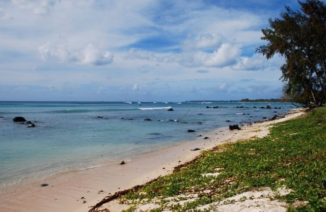 La Dorade