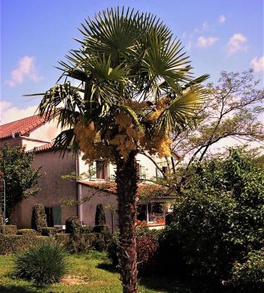 LA FERME JARLAN