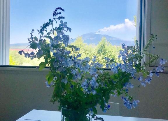 La Finestra Sull'Etna