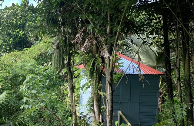 LA Maison Bleue Appt Colibri AU Milieu D'un Jardin Tropical