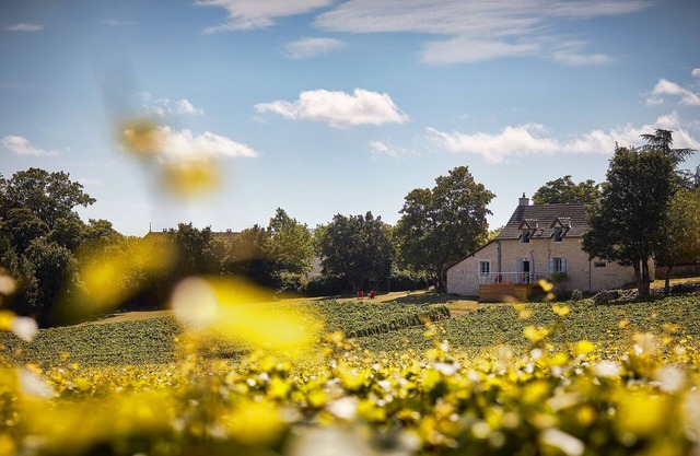 La Maison du Clos du Roi, stay in the heart of Burgundy's vineyards