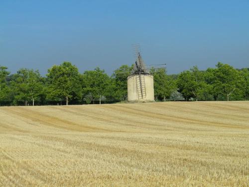 La mordorée