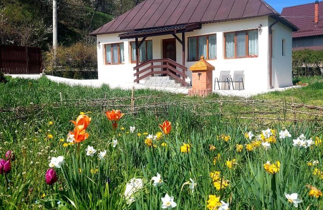 La numărul 100, Nămăești