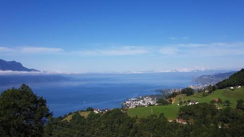 La Pergola