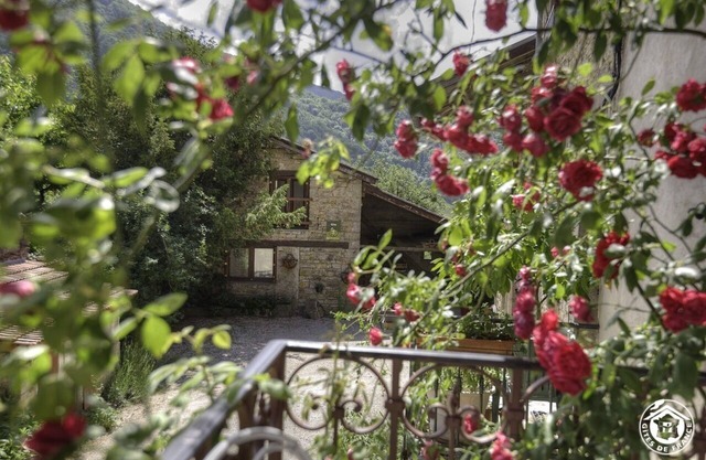 La Petite Forge - Boyeux-saint-jerome