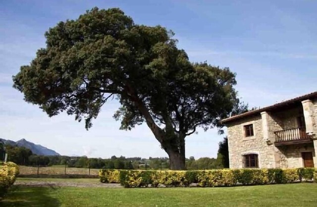 La Piniella Village House for 10 people