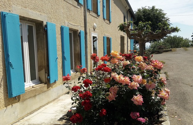 La Vigneronne