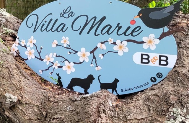 LA VILLA MARIE