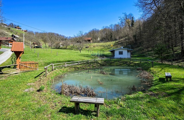 Lake front home in Andrasevec with WiFi