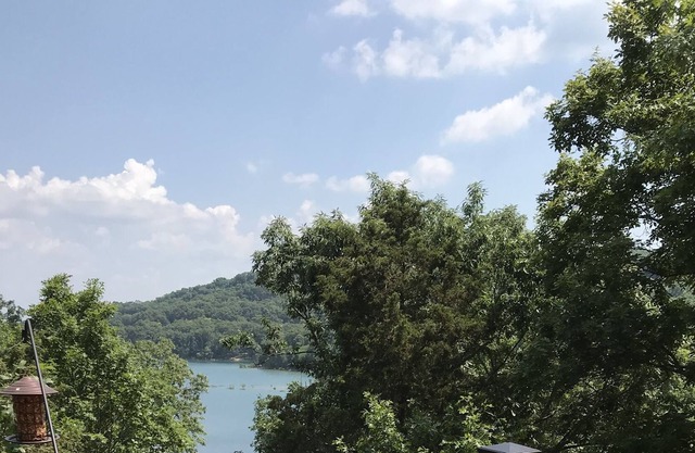 Lake front home in the Ozark Mountains - Neighborhood Pool