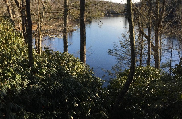 Lake House Retreat - in the Beautiful NC Mountains