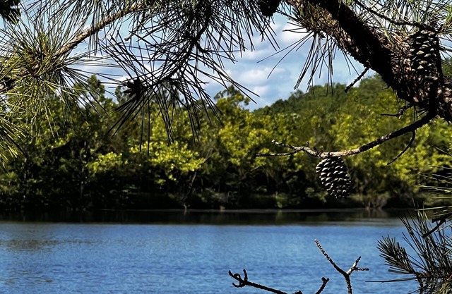 Lake Longbow-10 acre STOCKED lake, 80 acres, 4-wheeler/walking trails, swimming