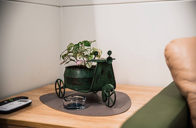 Lake Serenity Premium Mobile Homes-2Bedroom 15/012