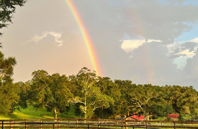 Lakefront country cabin near Lucedale n, MS