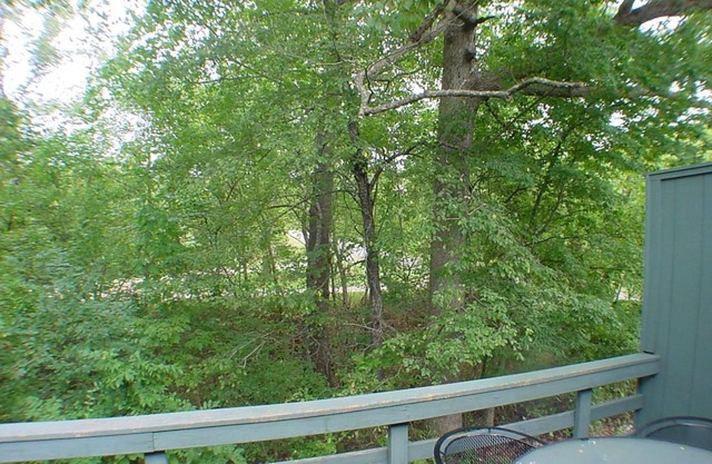 Lakeside, King Beds, Fireplace!