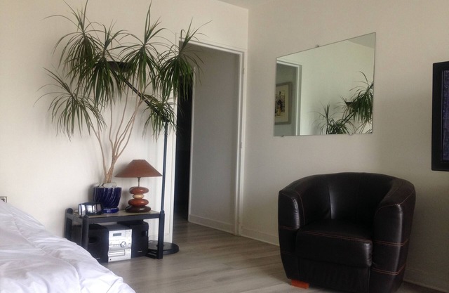 Large 36m2 studio near Eiffel Tower