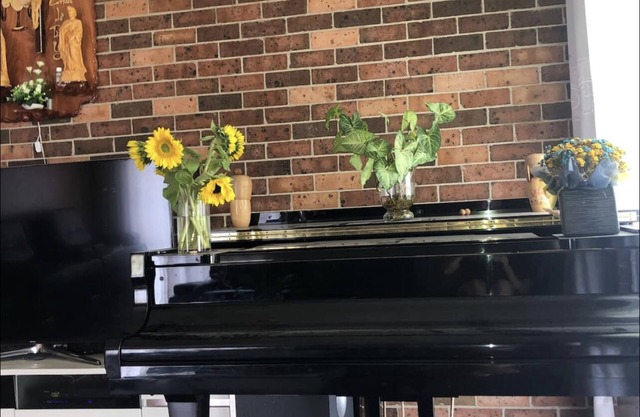 LARGE and COSY HOME IN STRATHFIELD