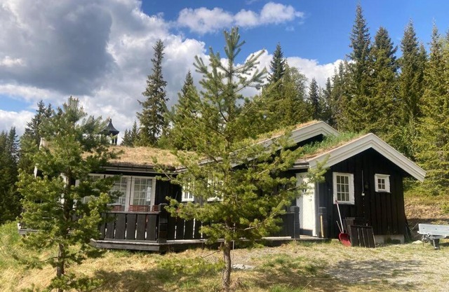 Large, beautiful cabin, sauna, view of Gålåvannet