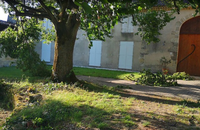 Large country house with swimming pool in the entre deux mers region