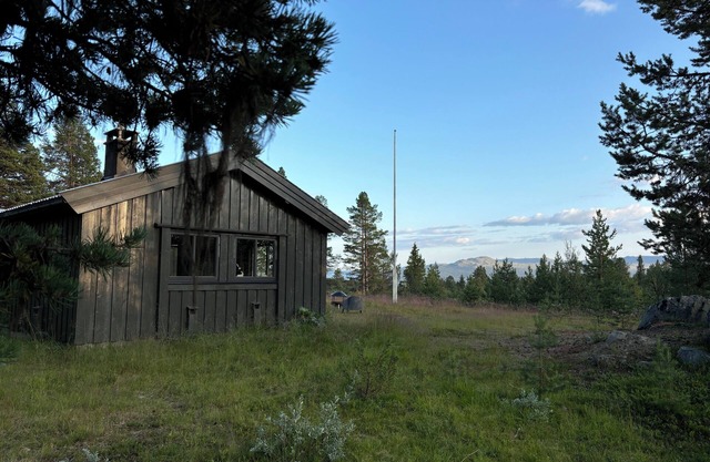 Large family-friendly cabin near Langedrag