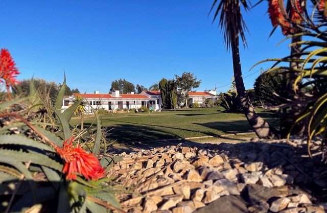 Large Spacious 2 Bedroom House 5 minutes from Zambujeira do Mar - House 4