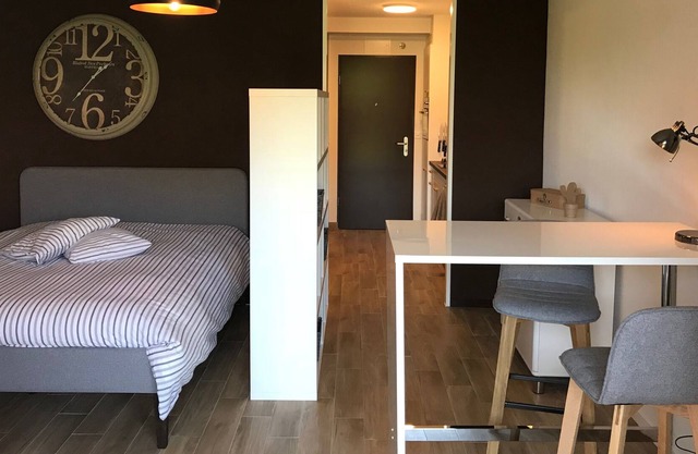 Large Studio Near Epfl And Lausanne City Center
