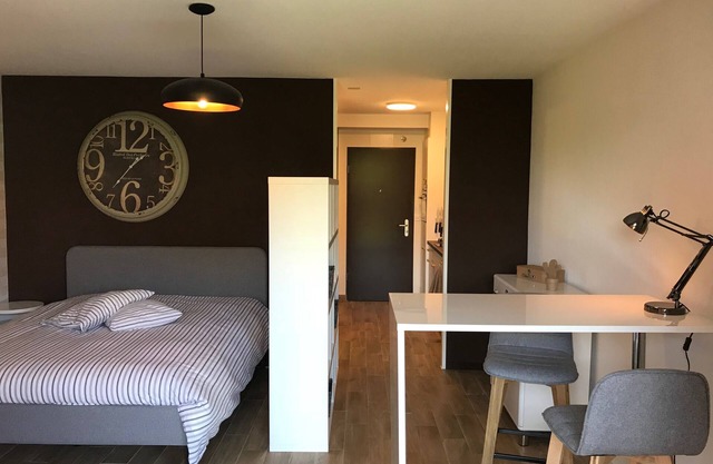 Large Studio Near Epfl And Lausanne City Center