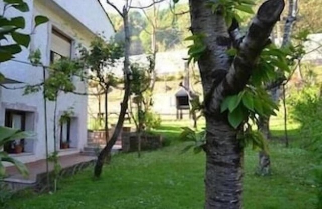 las Palmeras