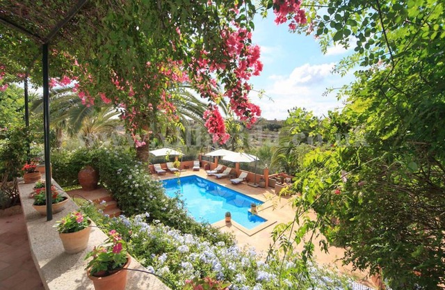 Las Palmeras Portol by Vida Villas, luxury Villa