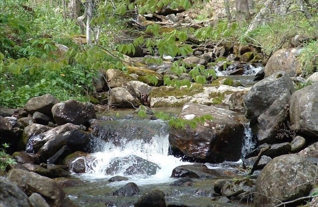 Laurel Creek Cottage -Creekside/Near Roan Mountain (rate includes cleaning fee)