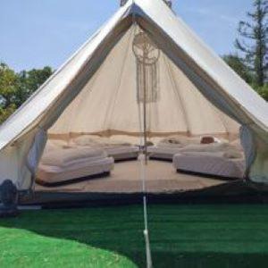 Le centre de l'hêtre