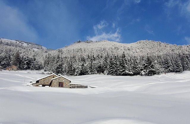 Le Chalet du Papote