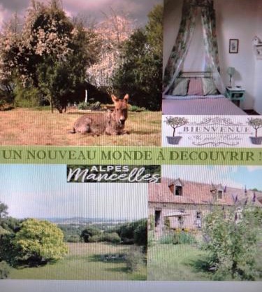 Le Clos Fleuri