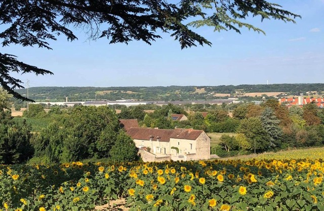 Le Domaine de Bella