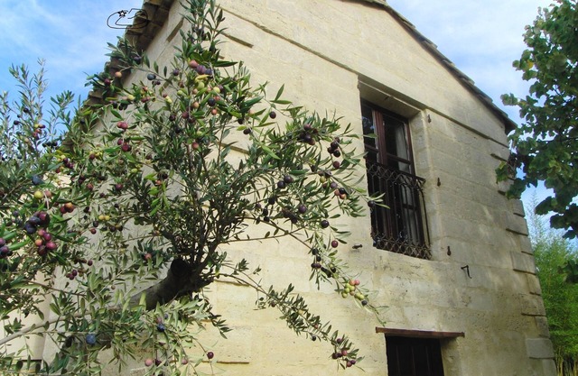 Le Mazet Authentique à Uzès, Clim, Piscine, Jardin, Wifi, Ideal Couple