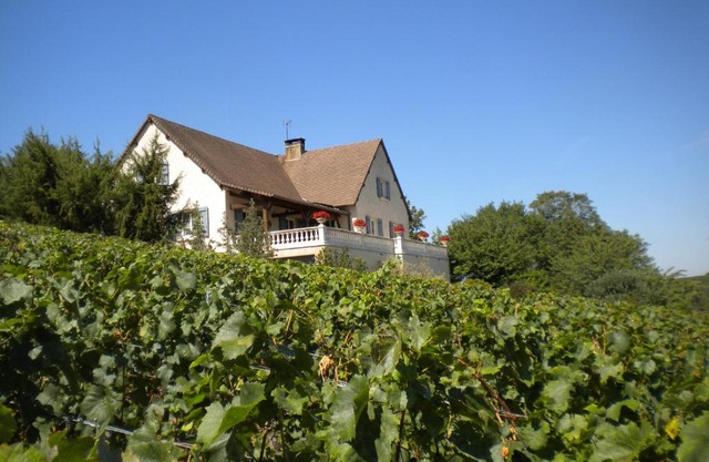 Le Mont Laurent