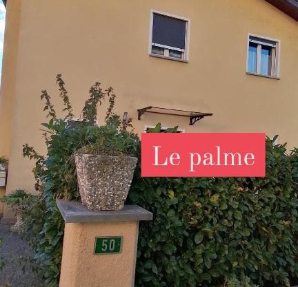 Le palme