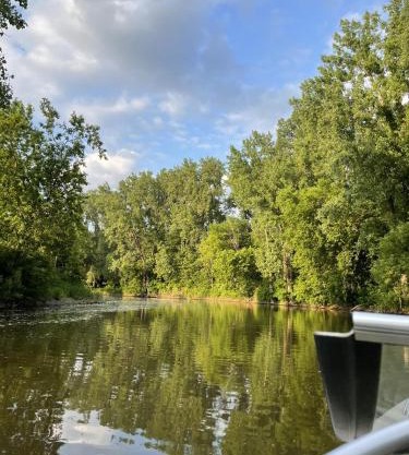 Le Refuge Tropical - Appartement au bord de l'eau