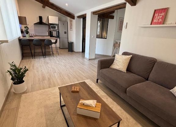 Le ST PIERRE, joli T2 entièrement rénové en plein coeur du centre ville