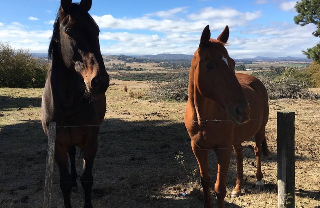 Leichhardt Farm Cottage - 10 minutes to Central Launceston
