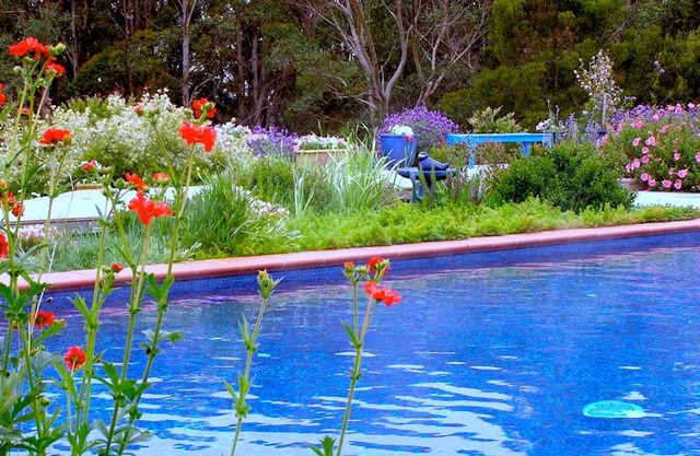 Lemonade Creek Cottages