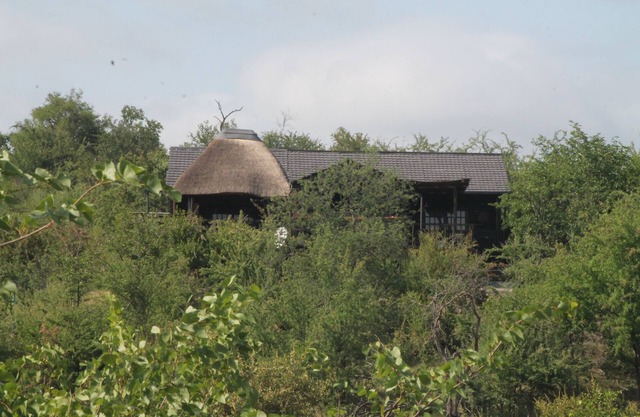 Leopard Rock Bush Lodge In Africa. Book today for your Big 5 Experience.