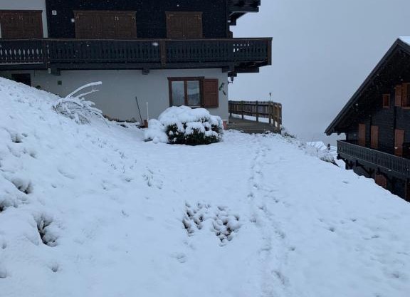 Les Œillets, Les portes du Soleil