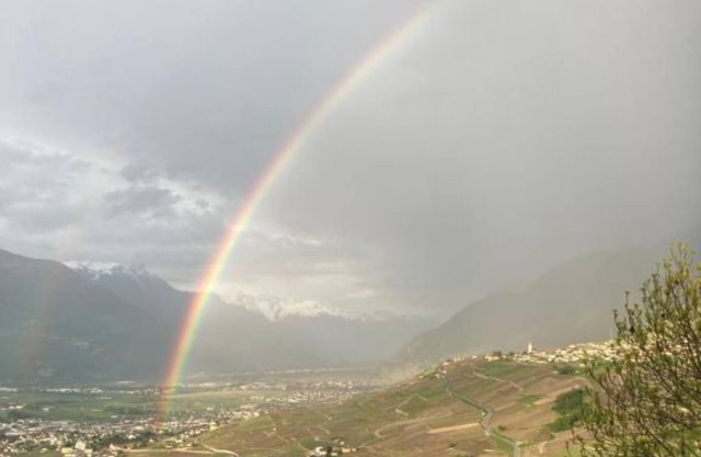 Les balcons du Rhône - Superior Queen Room with Two Queen Beds - 2 Guestsn