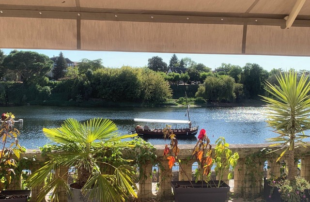 Les flots dorés Magnificent apartment overlooking the Dordogne with breathtaking views